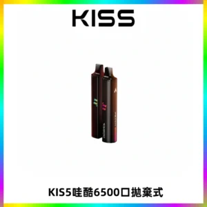 KIS5WAGOO哇酷6500口拋棄式 | 自由混搭雙口味 | 雙芯組合