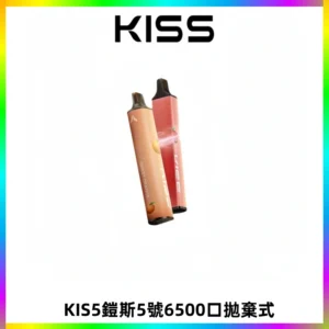 KIS5鎧斯5號一次性6500口磁吸式拋棄式電子煙#自由混搭#