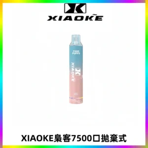 XIAOKE梟客7500Puffs跑馬燈拋棄式電子煙 可發光一次性